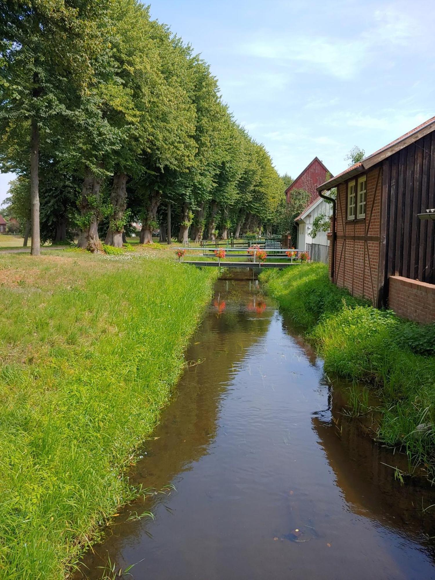 Ferienhaus "Kleinod" Boizenburg/Elbe Extérieur photo